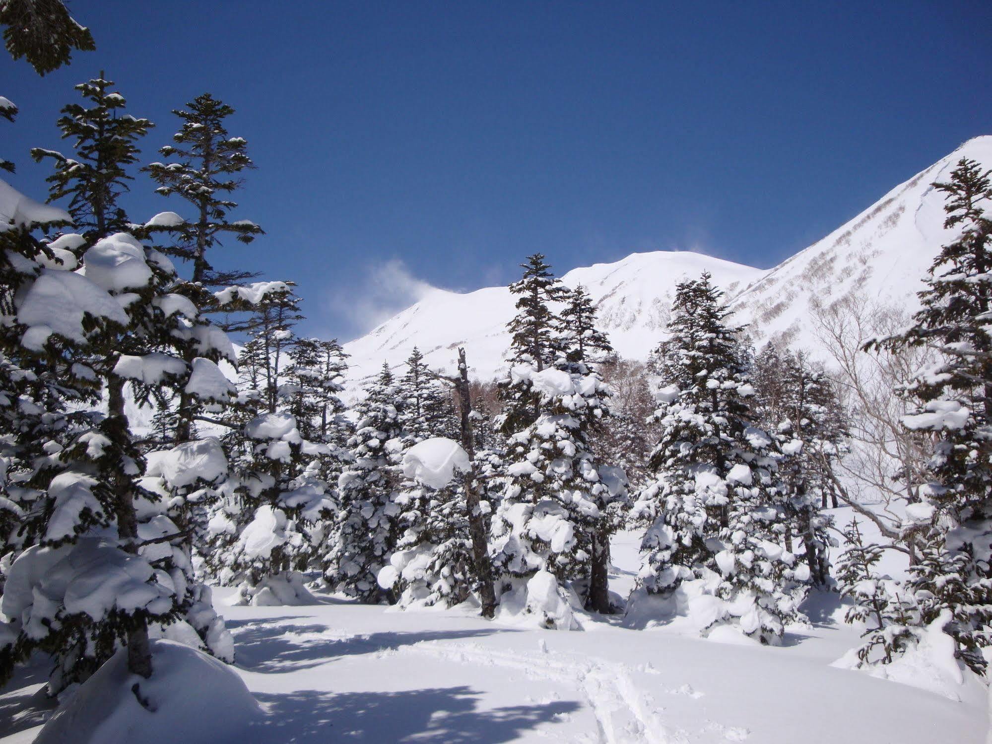 Hotel La Montagne Furuhata Hakuba Exterior foto